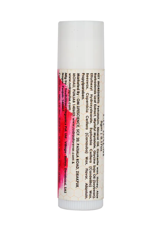 Rudraa_Forever_Honey_&_Aloe_Vera_Lip_Balm_Pack_Of_4