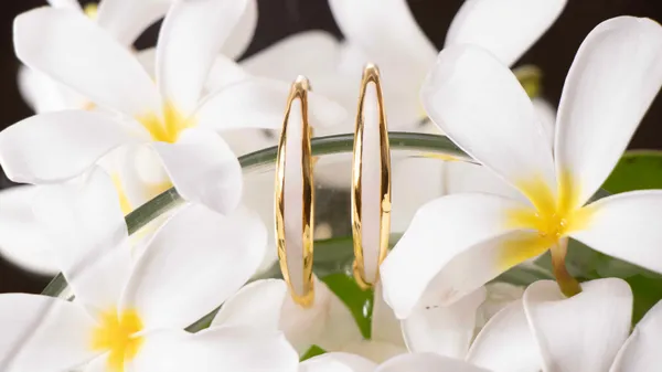 Orchid_Hoops_White_Blooming_Gardens