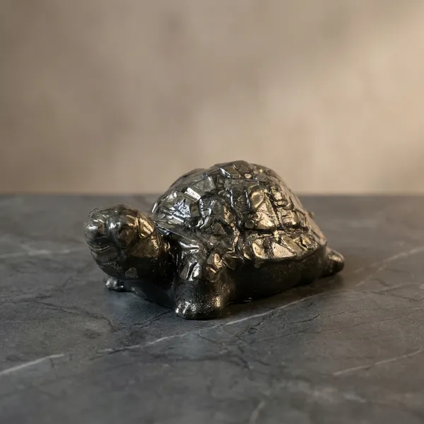 Pyrite_Orgonite_Turtle_|_Wealth_Attraction_And_Protection_Vastu_Tortoise_|_Metallic_Grey_And_Golden