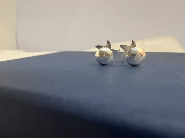 Silver_Premium_Earring_For_Women