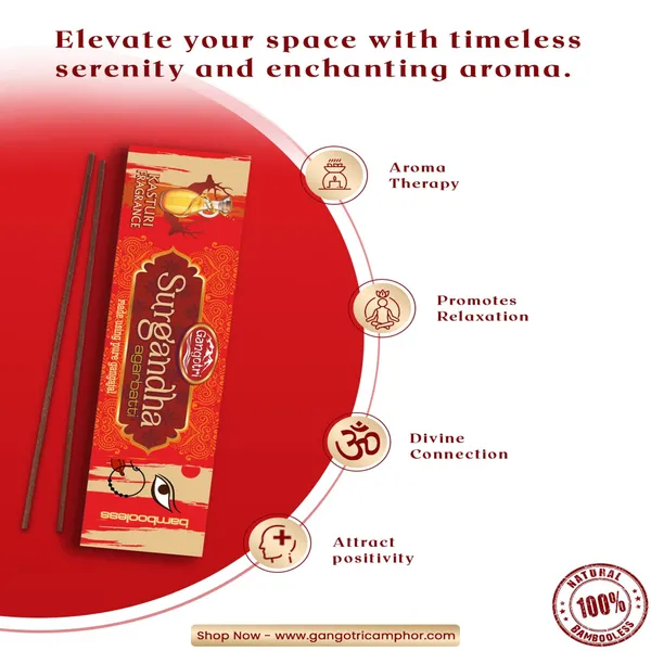 Gangotri_Surgandha_Bambooless_Incense_Stick_Agarbatti_Pack_Of_2