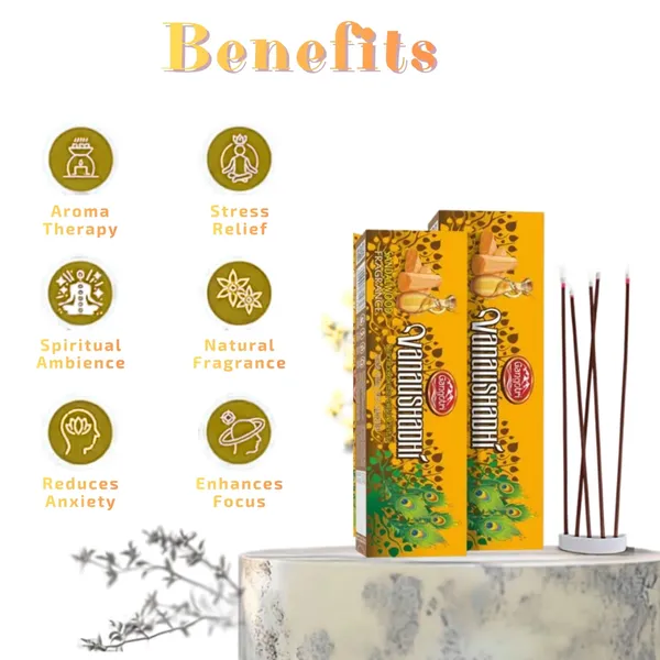 Gangotri_Vanaushadhi_Bambooless_Incense_Stick_Agarbatti_(128_Sticks)_Pack_Of_2