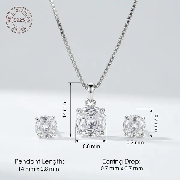 Rose_Silver_Chain_With_Earrings__For_Women