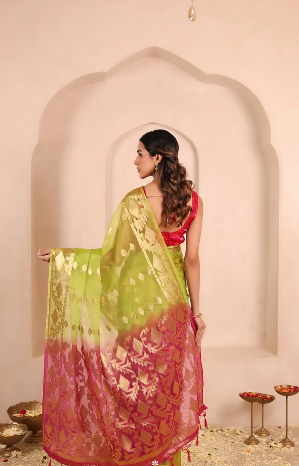 Green_And_Red_Banarasi_Organza_Saree