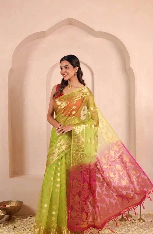 Green_And_Red_Banarasi_Organza_Saree