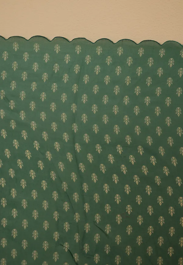 Green_Soft_Organza_Tissue_Saree