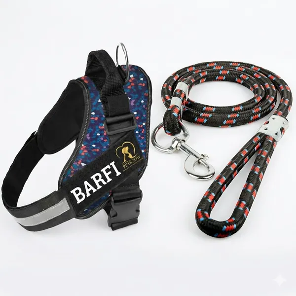 Multicolor_Personalized_Dog_Harness_And_Leash_Set_With_Reflective_Strap_-_Custom_Name_Printed