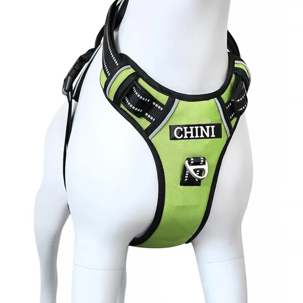Neon_No-Pull_Reflective_Dog_Harness_With_Padded_Handle_And_Adjustable_Straps