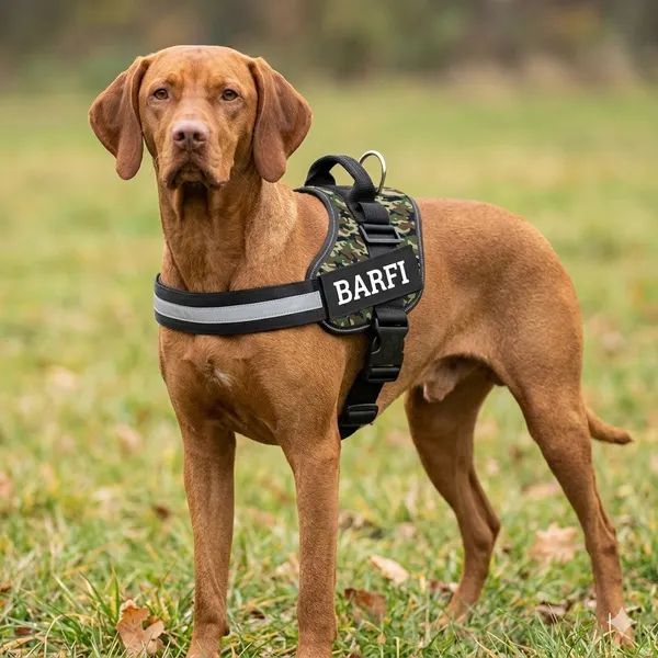 Black_And_Dark_Green_Personalized_Camouflage_Dog_Harness_With_Matching_Leash_Set_-_'Barfi'_Name_Patch