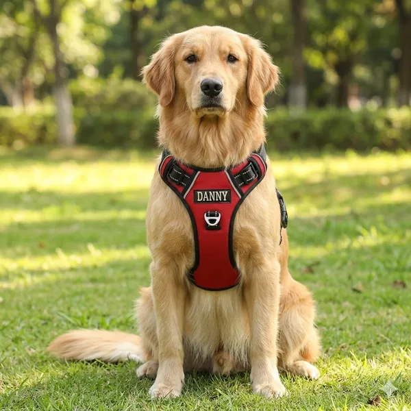 Double_Sided_Red_No-Pull_Dog_Harness_With_Reflective_Strips_And_Custom_Name_Patch_-_Adjustable_Padded_Vest_For_Training_And_Daily_Walks