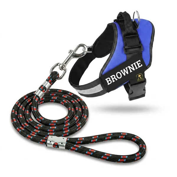 Blue_Customizable_No-Pull_Dog_Harness_With_Reflective_Strap_And_Leash_Set_-_Blue