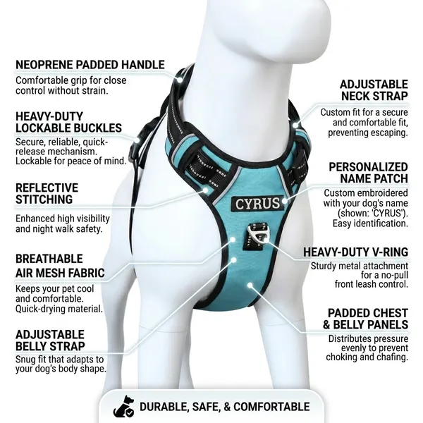 Teal_Blue_No-Pull_Dog_Harness_With_Padded_Handle_And_Reflective_Stitching_-_Adjustable_Pet_Walking_Harness_With_Front_Clip