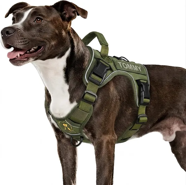 Green_Tactical_Personalized_Harness_With_Name_Patch_Safety_And_Reflective_Harness