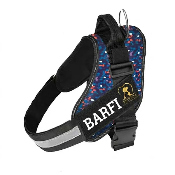 Multicolor_Personalized_Dog_Harness_And_Leash_Set_With_Reflective_Strap_-_Custom_Name_Printed