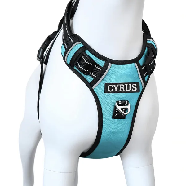 Teal_Blue_No-Pull_Dog_Harness_With_Padded_Handle_And_Reflective_Stitching_-_Adjustable_Pet_Walking_Harness_With_Front_Clip