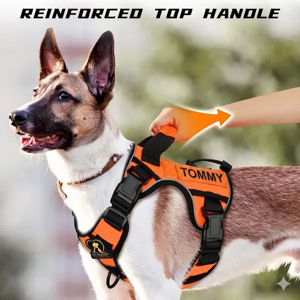 Orange_Tactical_Personalized_Harness_With_Name_Patch_Safety_And_Reflective_Harness
