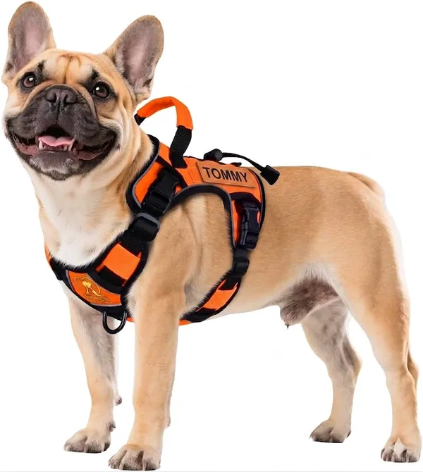 Orange_Tactical_Personalized_Harness_With_Name_Patch_Safety_And_Reflective_Harness