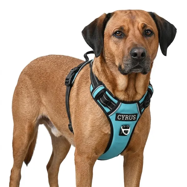 Teal_Blue_No-Pull_Dog_Harness_With_Padded_Handle_And_Reflective_Stitching_-_Adjustable_Pet_Walking_Harness_With_Front_Clip