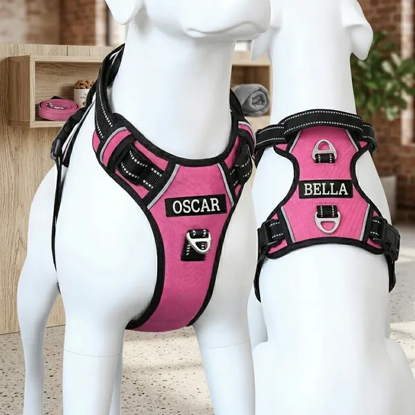 Double_Sided_Pink_Harness_With_Custom_Name_Patch_-_Adjustable,_Reflective,_Padded_Mesh_Design_Pack_Of_2