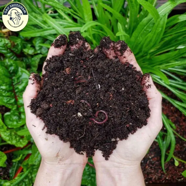 Natural_Organic_Compost_For_Soil_Fertilization_And_Plant_Growth_Pack_Of_3