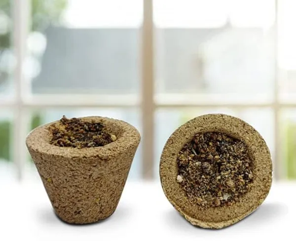 Natural_Sambrani_Resin_For_Fragrance,_Air_Purification,_And_Rituals_Pack_Of_2