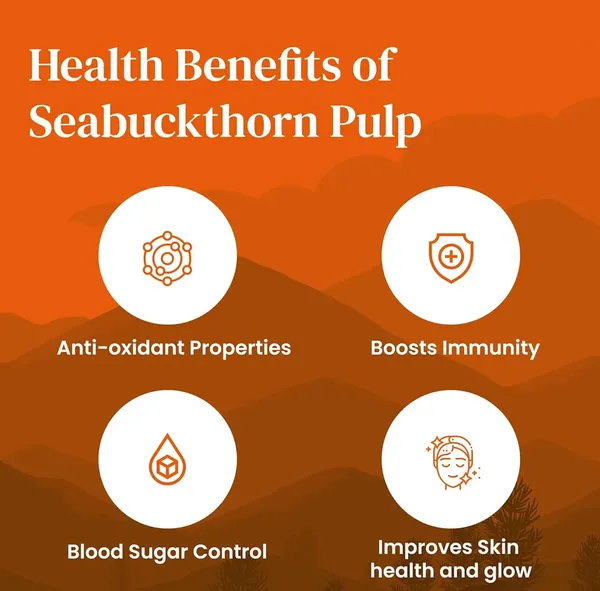 100%_Natural_Himalayan_Sea_Buckthorn_Pulp_BUY_1_GET_1_FREE!_|_Himalayan_Golden_Berries_|_Rich_in_Vitamin_C,_Omega_3-6-7-9_&_Antioxidants_|_Supports_Skin_Glow,_Immunity_&_Daily_Wellness
