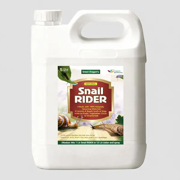 Green_Dragon_S_Snail_Rider