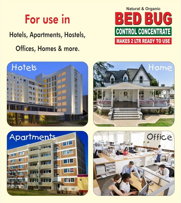 Green_Dragon_S_Natural_Organic_Bed_Bug_Control_Concentrate_Makes_Chemicals_100_Effective