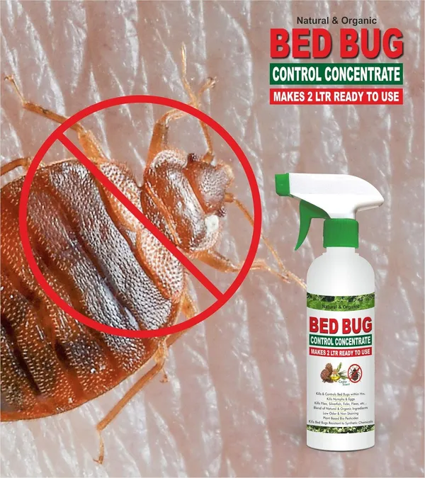 Green_Dragon_S_Natural_Organic_Bed_Bug_Control_Concentrate_Makes_Chemicals_100_Effective