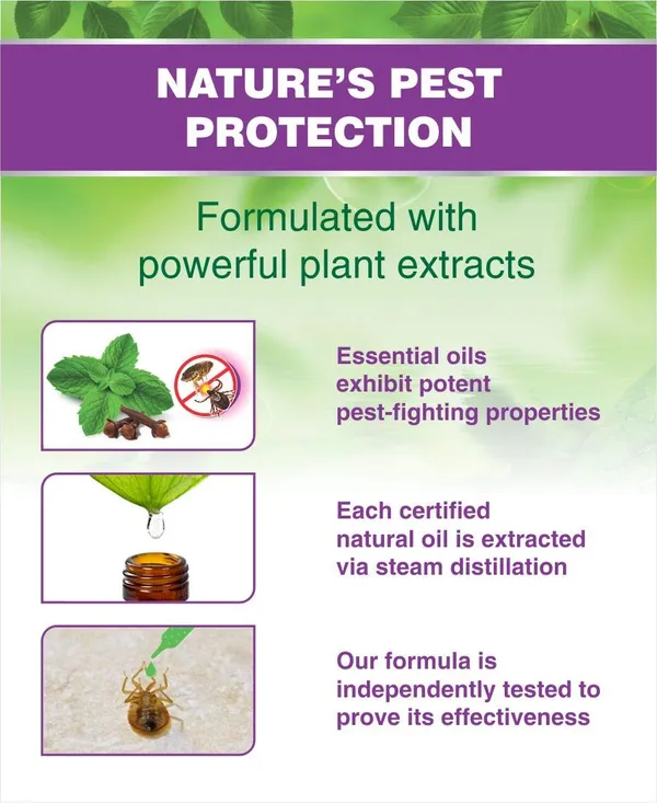 Green_Dragon_S_Natural_Organic_Ticks_Flea_Killer_Shampoo_For_Pets_Chemicals_100_Effective