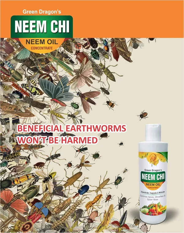 Green_Dragon_S_Neem_Chi_260_Ml