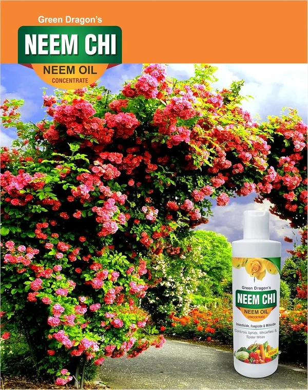 Green_Dragon_S_Neem_Chi_260_Ml