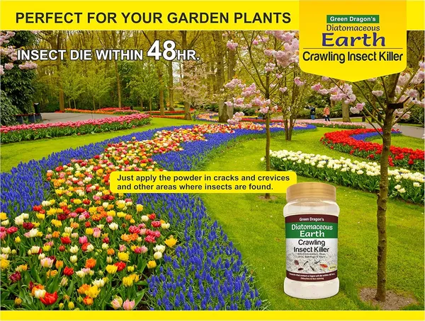 Green_Dragon_S_Diatomaceous_Earth_Crawling_Insect_Killer