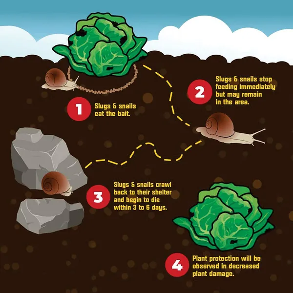 Green_Dragon_S_Home_Solutions_Natural_Organic_Snail_Magic_Garden_Slug_Snail_Killer_Powder