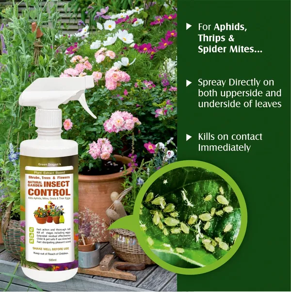 Green_Dragon_S_Natural_Organic_Garden_Insect_Control_Plant_Based_Formula_Indoor_Outdoor_Kills_Horticulture_Insects_Aphids_Mites_Gnats_Kills_All_Stages_Eggs_Children_Pets_Safe