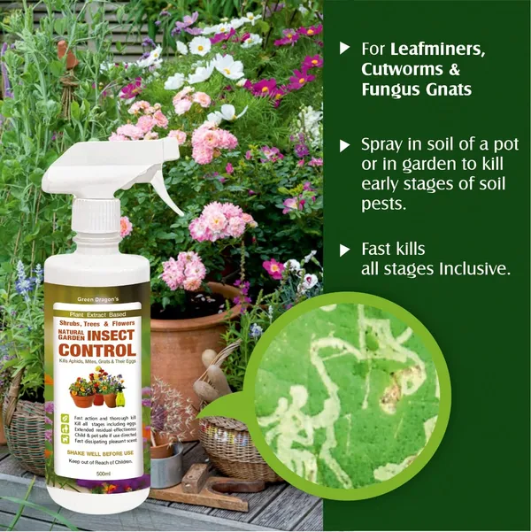 Green_Dragon_S_Natural_Organic_Garden_Insect_Control_Plant_Based_Formula_Indoor_Outdoor_Kills_Horticulture_Insects_Aphids_Mites_Gnats_Kills_All_Stages_Eggs_Children_Pets_Safe