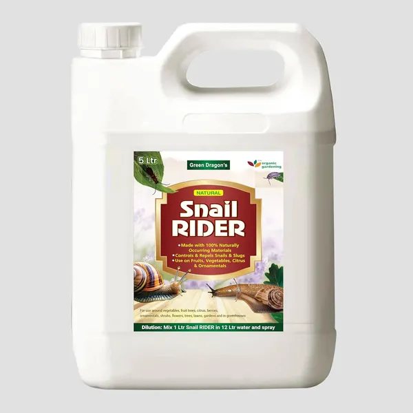 Green_Dragon_S_Snail_Rider