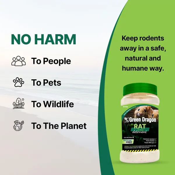 Green_Dragon_Rat_Mice_Deterrent_Granules_No_Harm_To_People_Pets_And_Wildlife_Sprinkles_Around_The_Foundation_Walls_Reapply_Once_A_Month_Available_In_800G_Jar_And_Pack_Of_2_Jars_Natural