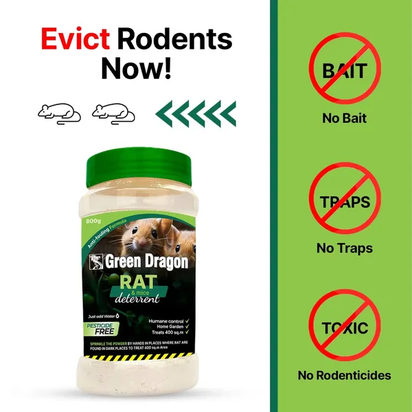 Green_Dragon_Rat_Mice_Deterrent_Granules_No_Harm_To_People_Pets_And_Wildlife_Sprinkles_Around_The_Foundation_Walls_Reapply_Once_A_Month_Available_In_800G_Jar_And_Pack_Of_2_Jars_Natural