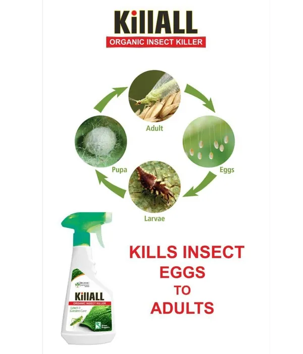 Green_Dragon_Killall_Organic_All_Insect_Spray_For_Lawn_Garden