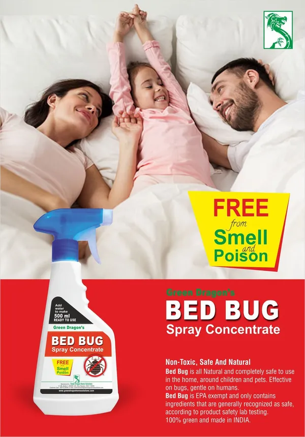 Green_Dragon_Bed_Bug_Spray_Concentrate_1500_ml_(3_x_166.67_ml)