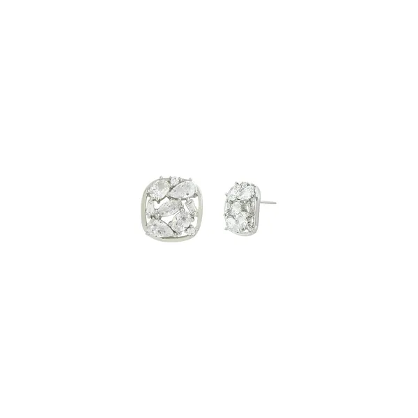 Rhodium_Brass_Premium_And_Elegant_Earrings_For_Women
