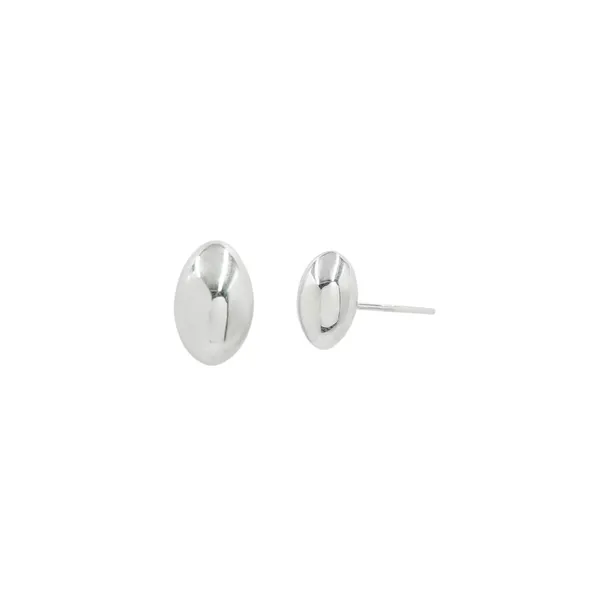 Rhodium_Brass_Premium_And_Elegant_Earrings_For_Women