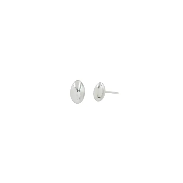 Rhodium_Brass_Premium_And_Elegant_Earrings_For_Women