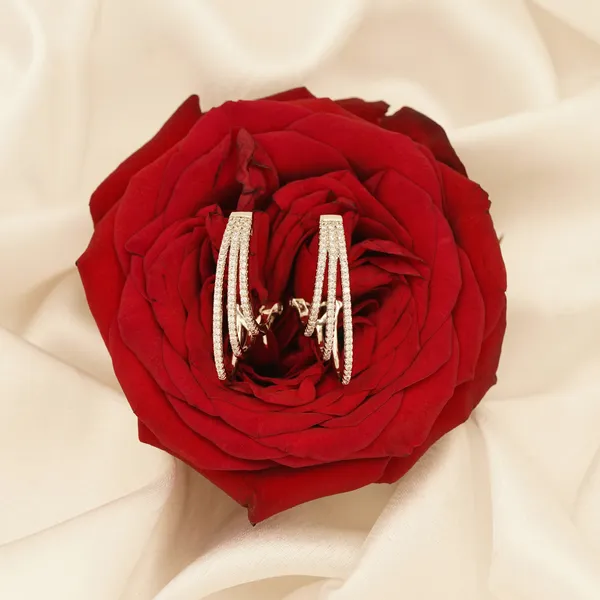 White_Brass_Premium_And_Elegant_Earrings_For_Women