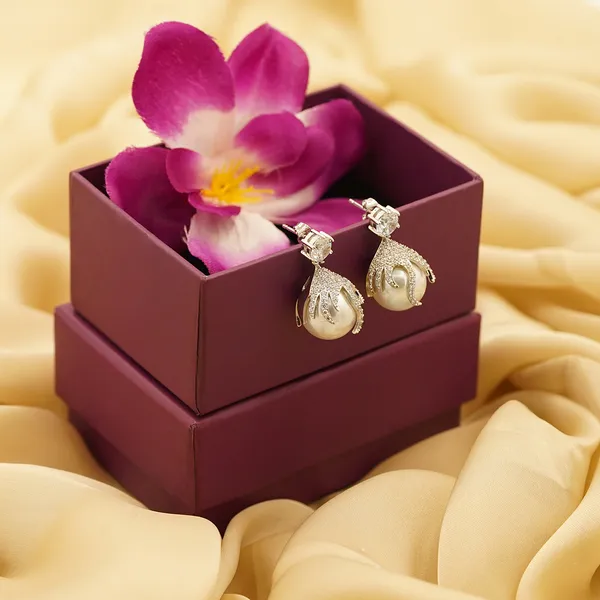 White_Brass_Premium_And_Elegant_Earrings_For_Women