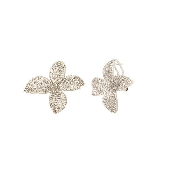 White_Brass_Premium_And_Elegant_Earrings_For_Women