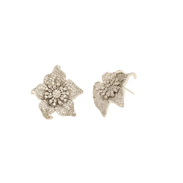 White_Brass_Premium_And_Elegant_Earrings_For_Women