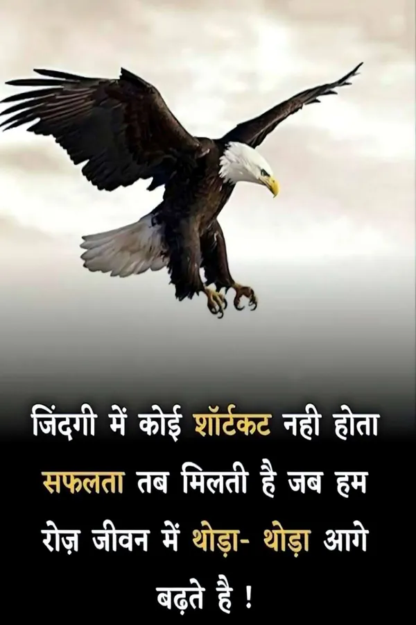 Motivational_Eagle_Quote_Poster_-_Hindi_Inspirational_Wall_Art