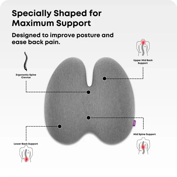 Zudo_Homes_Ultimate_Pro_Back_Support_(High_Density)_for_Chair_|_Orthopedic_Backrest_Cushion_for_Lumbar&Posture_Support_|_Relief_Back_Pain_|Pillow_with_Adjustable_Straps_|_Grey